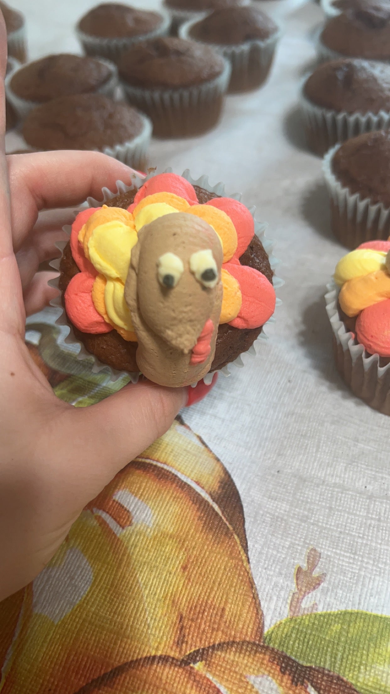 Basic Cupcakes